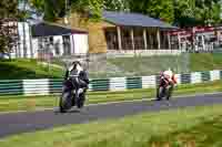 cadwell-no-limits-trackday;cadwell-park;cadwell-park-photographs;cadwell-trackday-photographs;enduro-digital-images;event-digital-images;eventdigitalimages;no-limits-trackdays;peter-wileman-photography;racing-digital-images;trackday-digital-images;trackday-photos